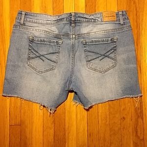 Vintage Aeropostale Denim Cut Off Style Shorts 8